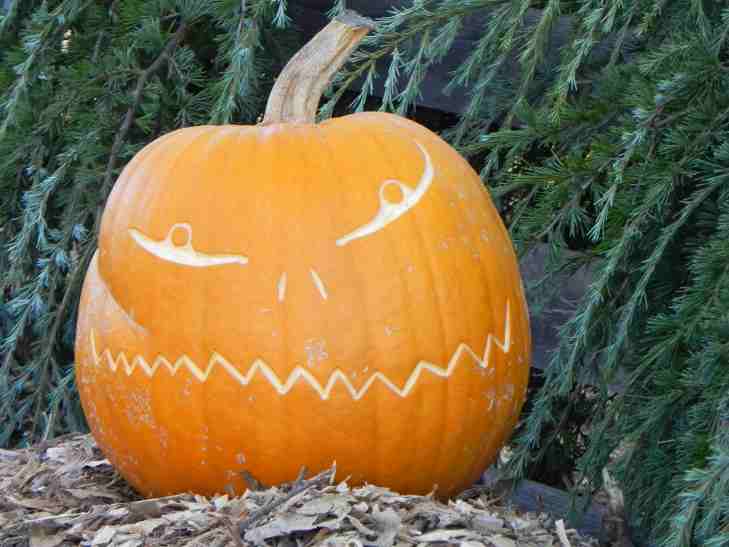 Wide Mouth , Nipomo Pumpkin Patch, best carving idea